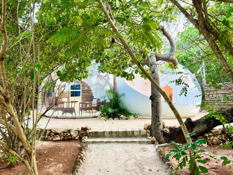 The Bush Bubble Lodge set on white sand among cashew and coconut palms