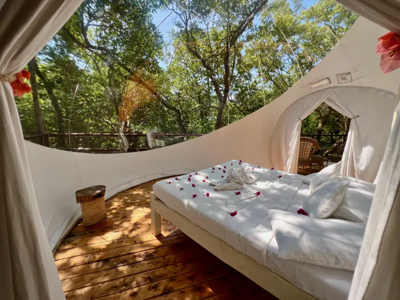 Interior of a transparent bubble lodge with a bed dressed in rose petals, looking out to the forest