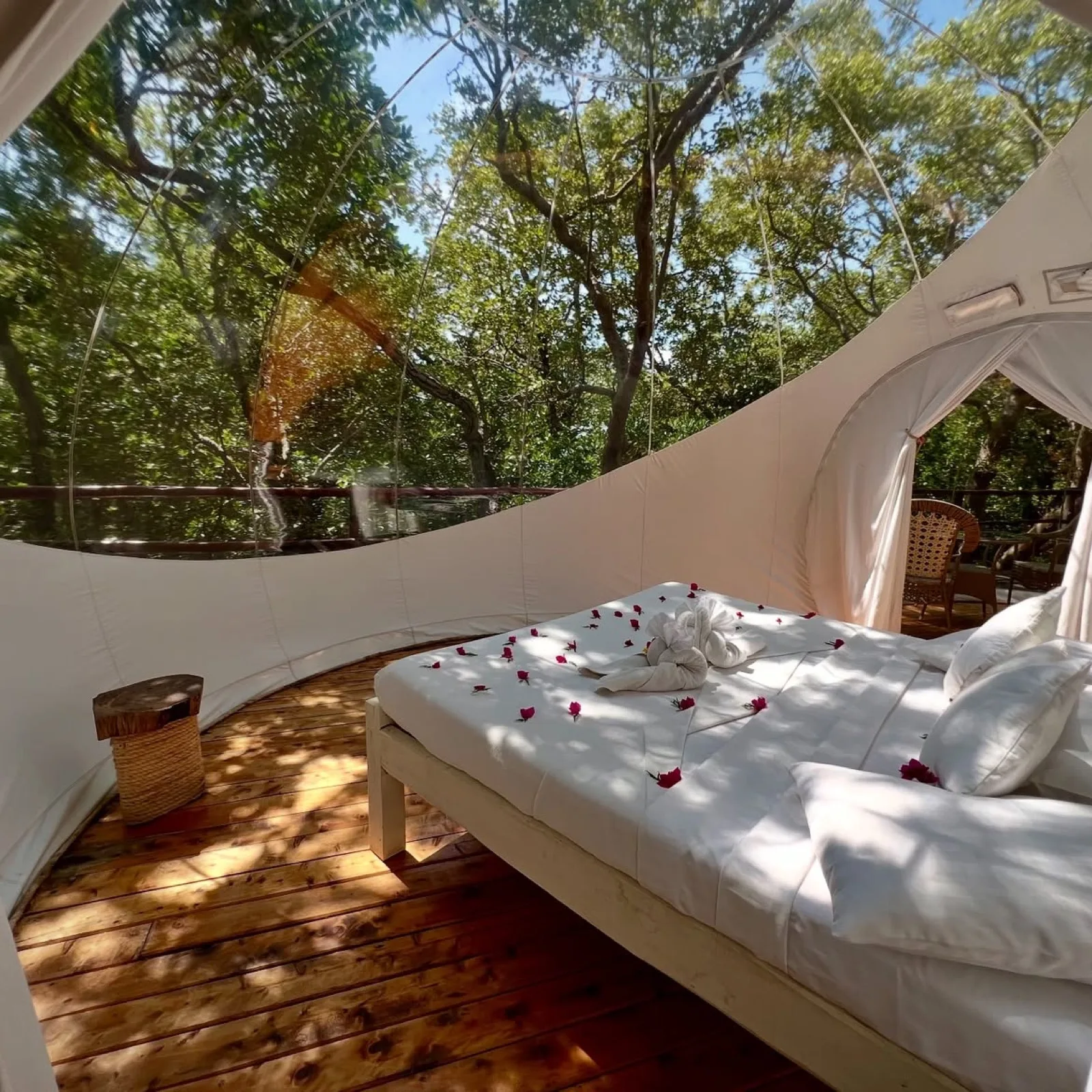 The Baobab Bubble Lodge glowing under a starlit sky