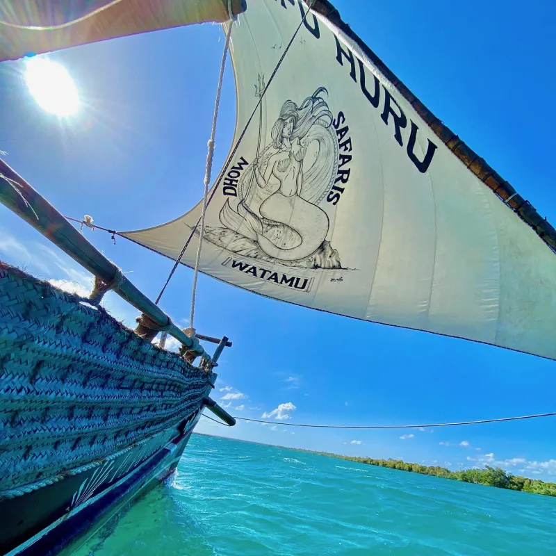 The Pepo Huru's sail, painted with the dhow's mermaid emblem, lit from behind by the sun