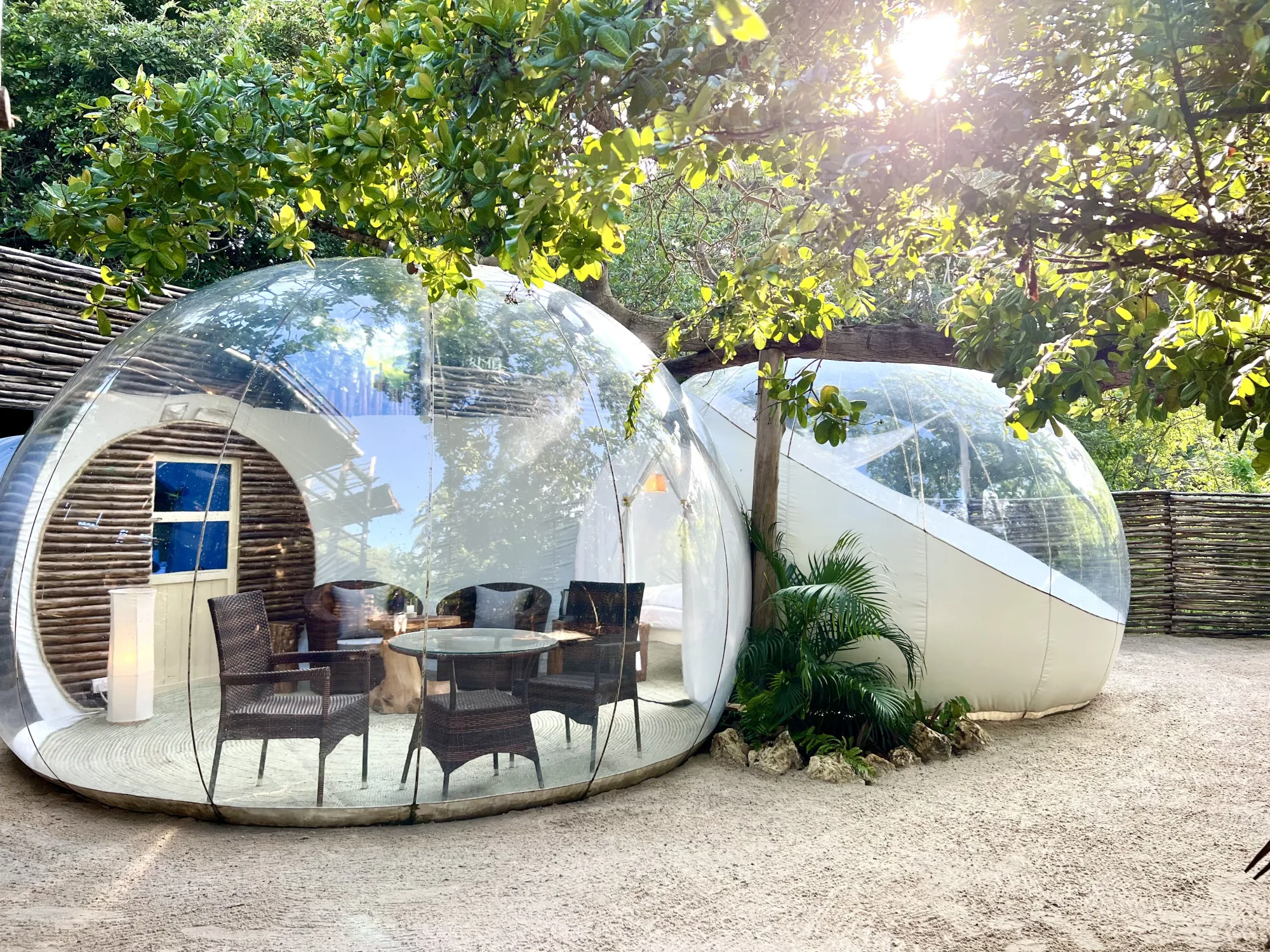 bush bubble lodge