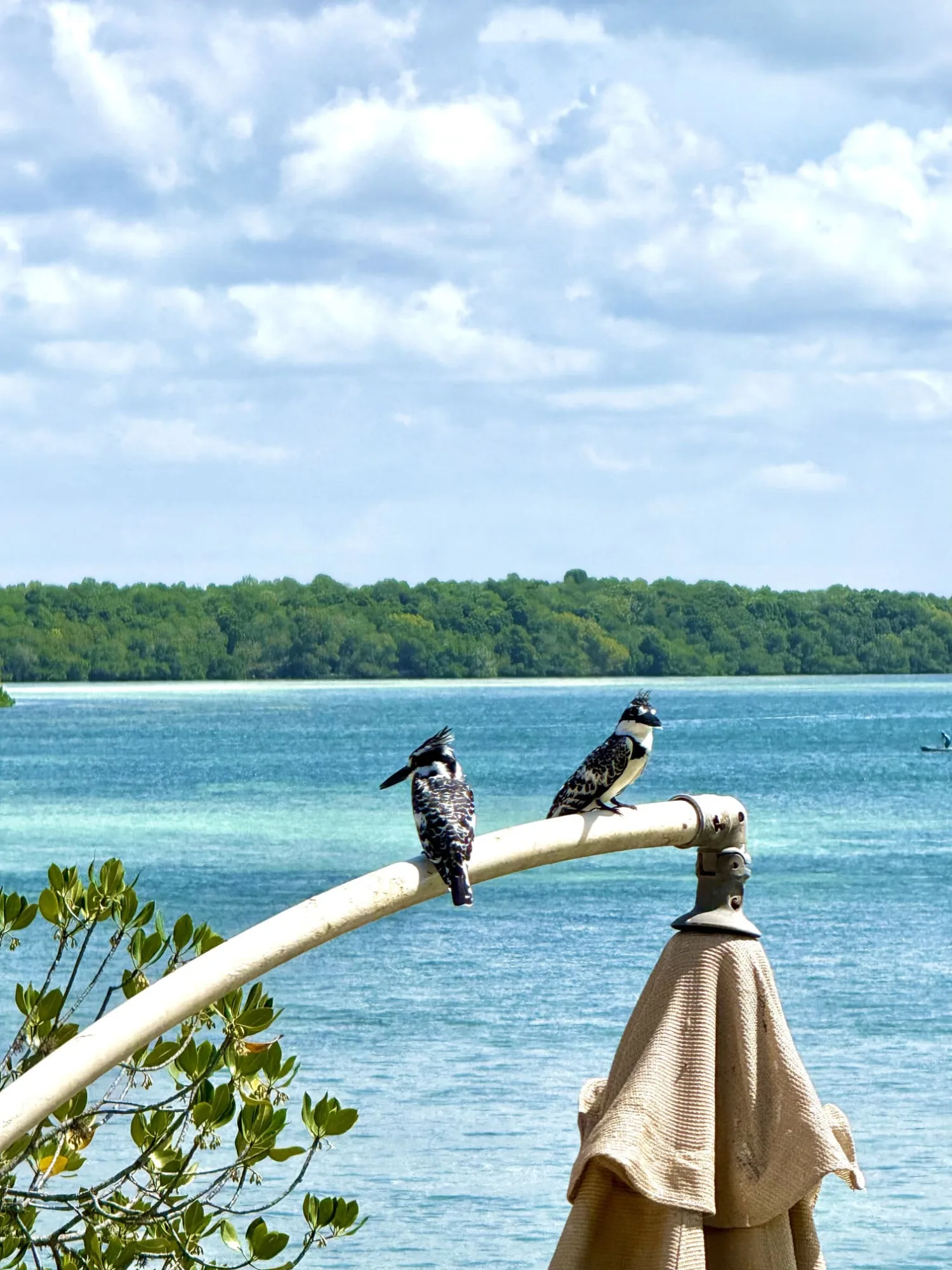 The Imperial Banda suite with its wide wooden terrace looking out over Mida Creek and the ocean